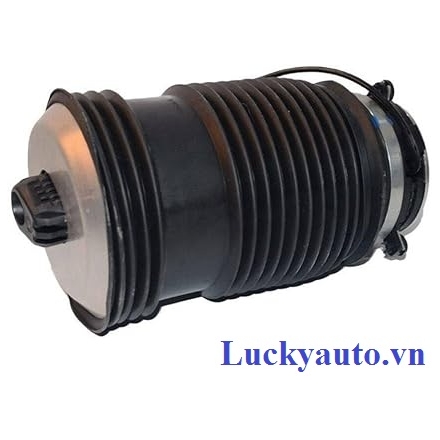 Bóng (bầu) hơi giảm xóc sau xe Mercedes GLC300, GLC350e, GLC43 AMG- 2133200125- A2133200125
